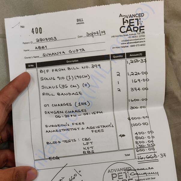 Medical Bill