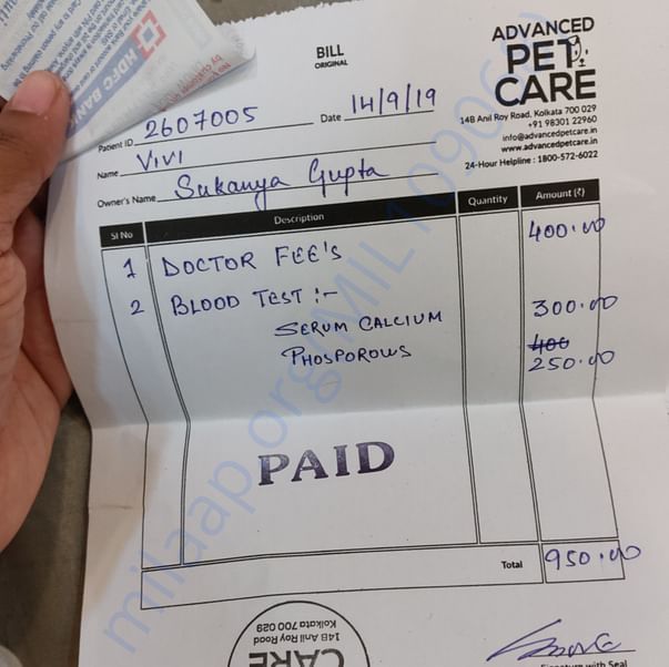 Medical Bill