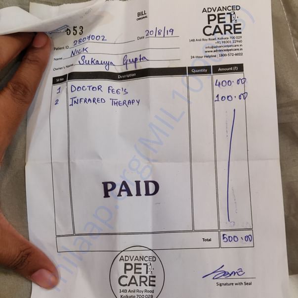 Medical Bill