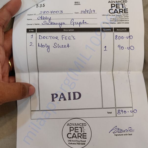 Medical Bill