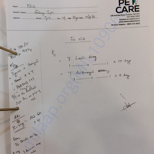 Medical Report