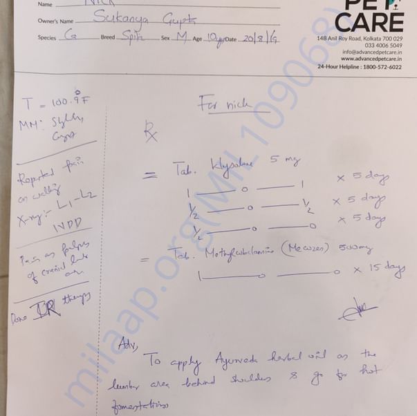 Medical Report
