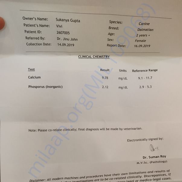 Medical Report