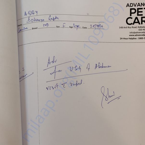 Medical Report