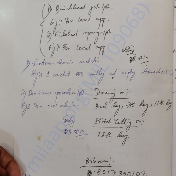 Medical Report