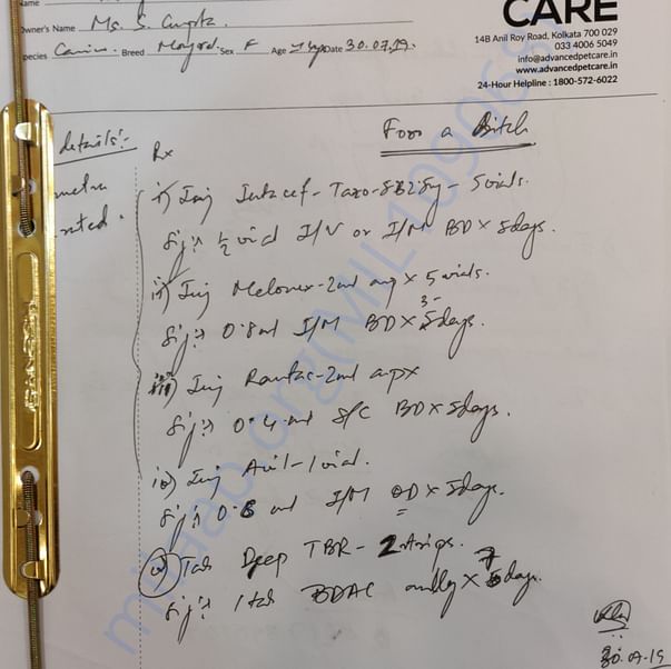 Medical Report