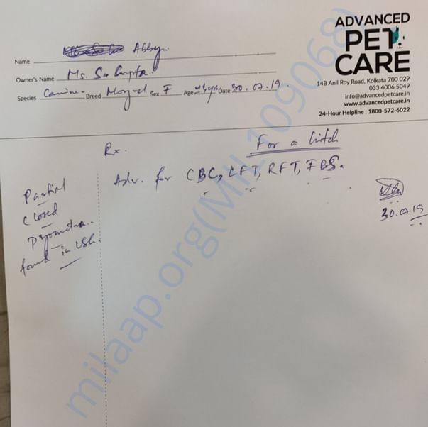 Medical Report