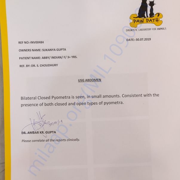 Medical Report