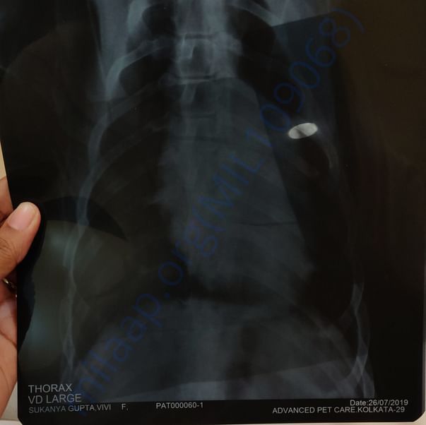 Medical Report