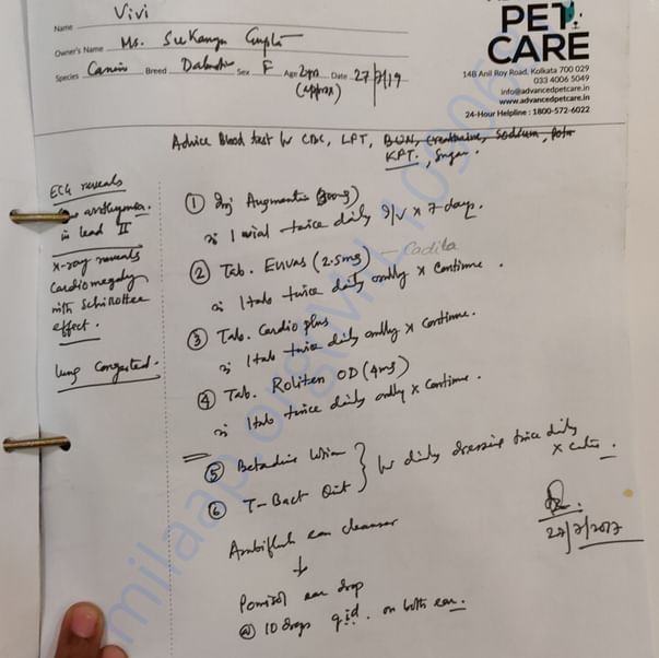 Medical Report