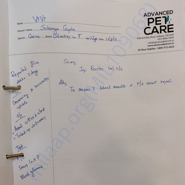 Medical Report