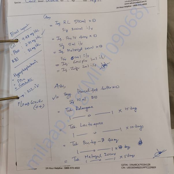 Medical Report