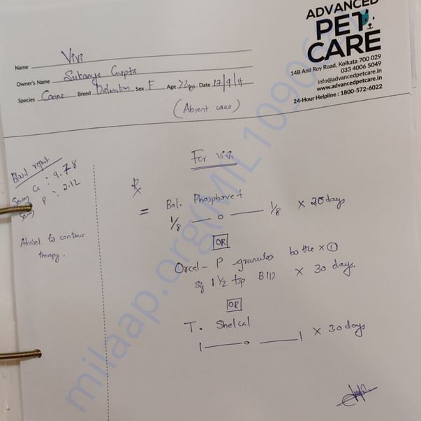 Medical Report