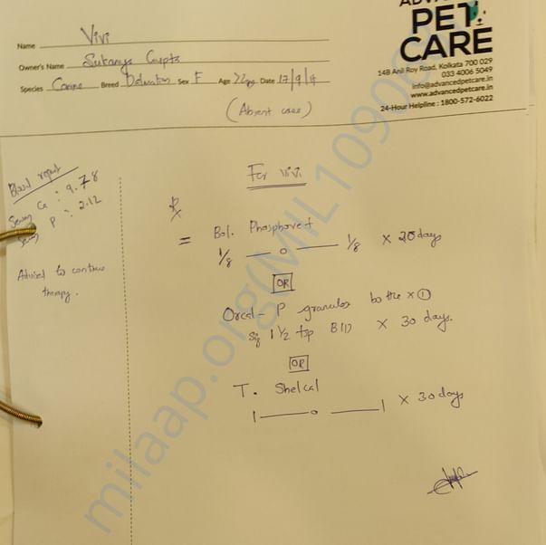 Medical Report