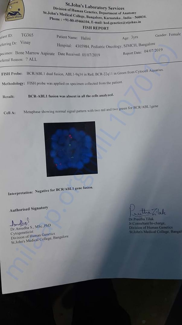 LAB REPORT