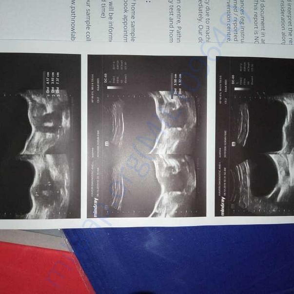 Medical Report