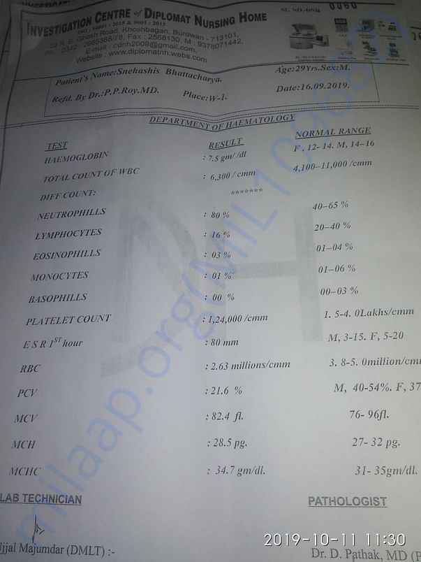 Document