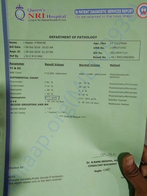 Document