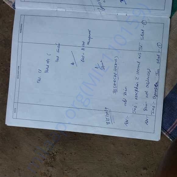 Medical Report