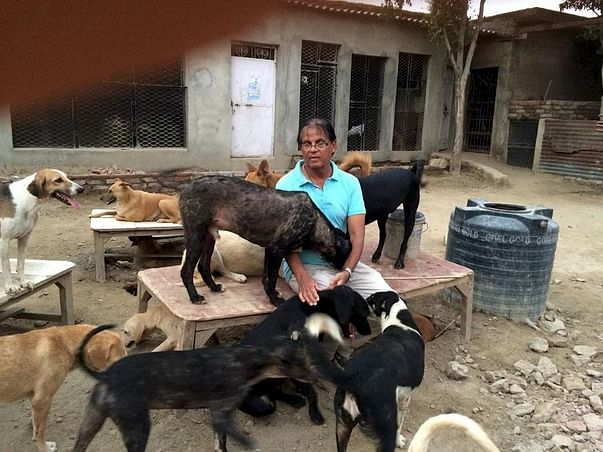 Support An Animal Shelter