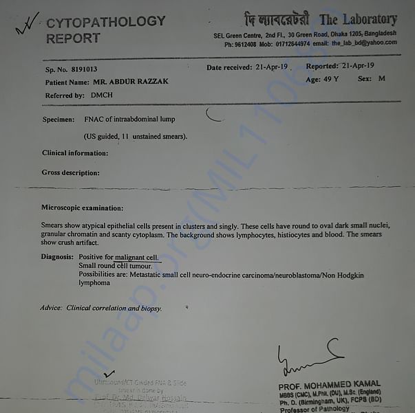 Medical Report