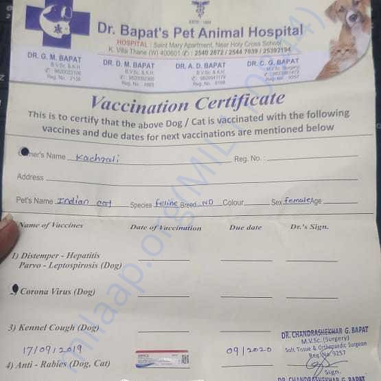 Medical Report