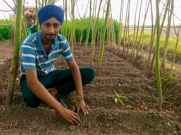 Help Me Plant Trees For Our Planet