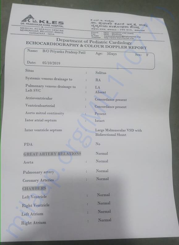 MEDICAL (ECHOCARDIOGRAPHY) REPORT