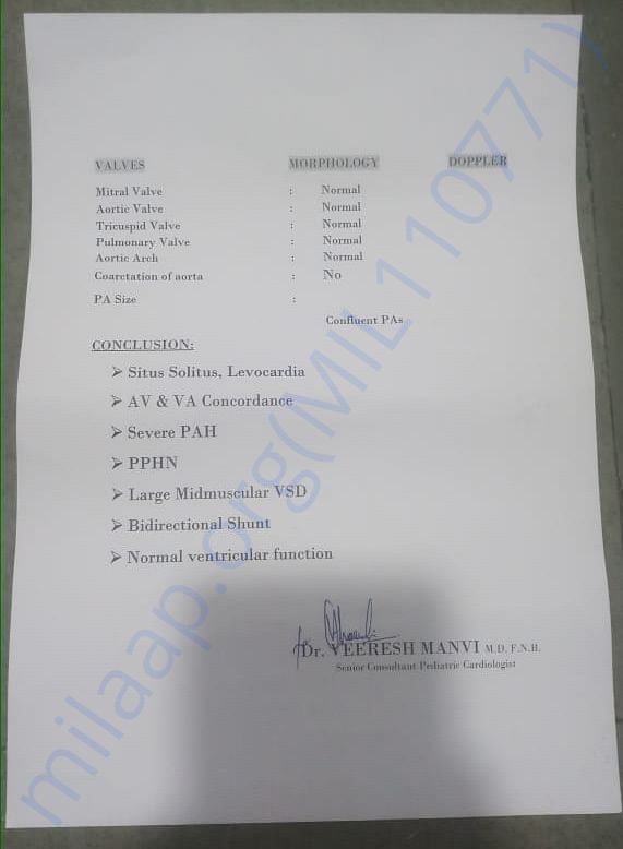 MEDICAL (ECHOCARDIOGRAPHY) REPORT