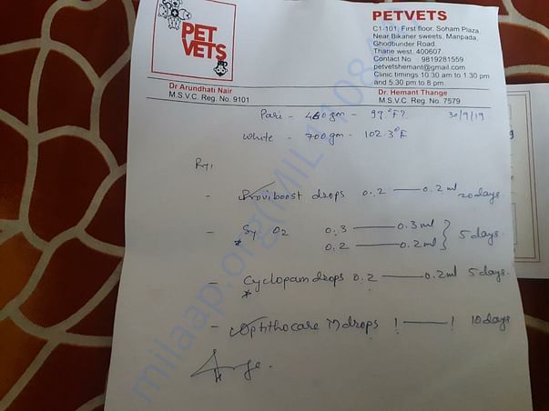Prescription of vet