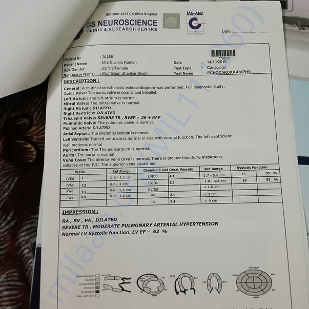Medical Report