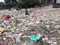 Help Us Make Our Society Habitable And Disease Free