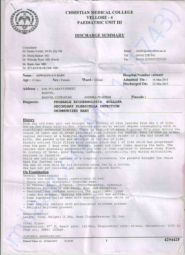Document