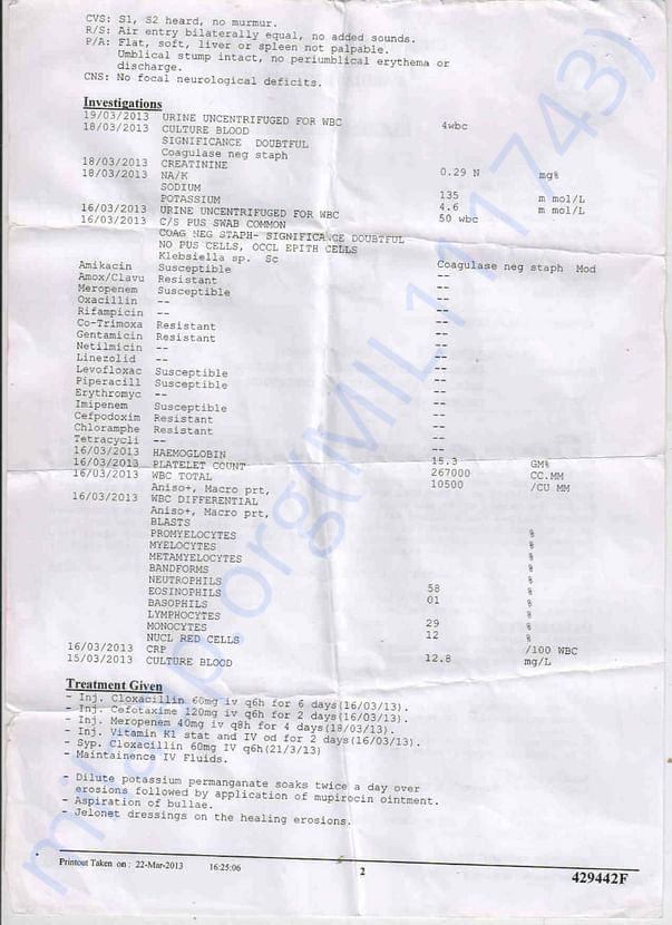 Document