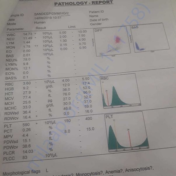 Medical Report