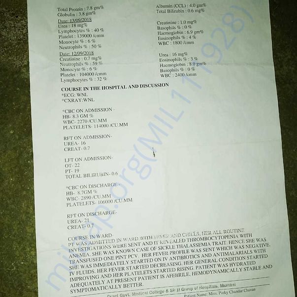Medical Report