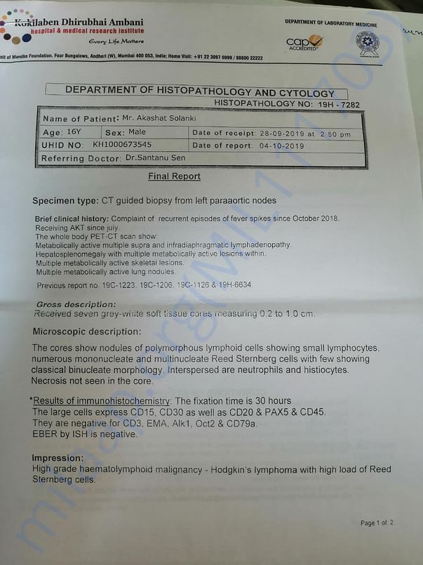 Doctor Reports