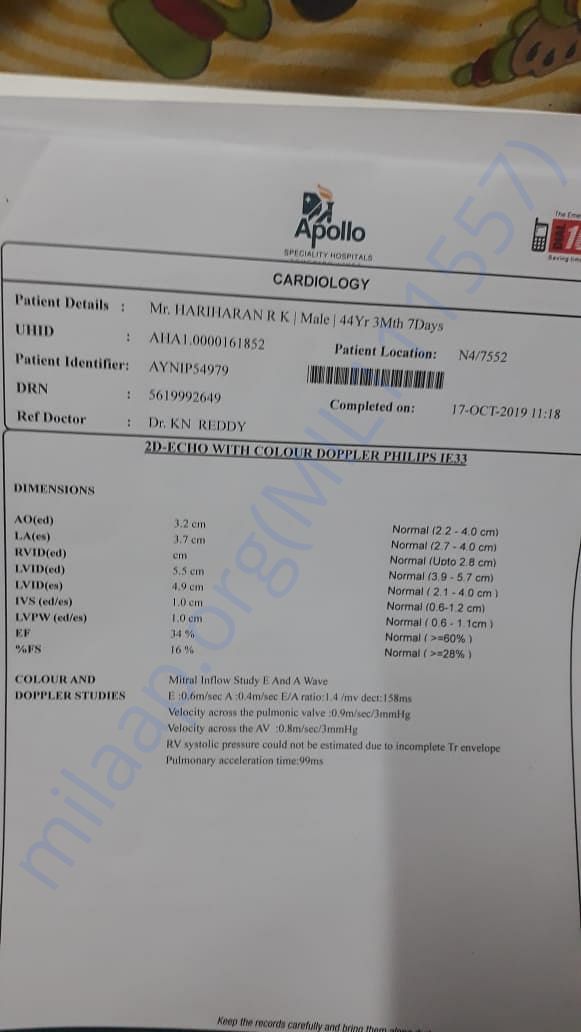 Apollo Report