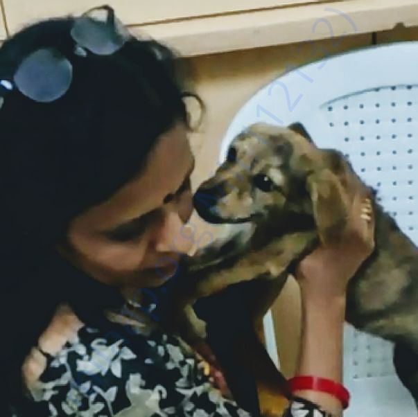 Rescued street puppy, lost leg sensation