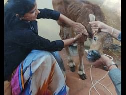 If you provide them with Food ,Water and Shelter. They think you GOD