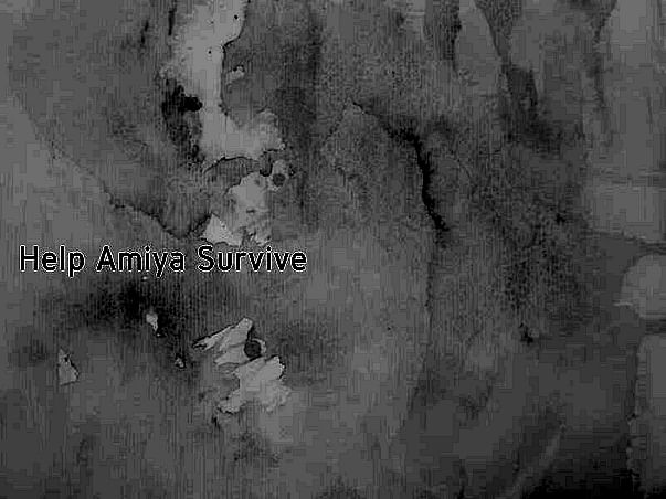 Help Amiya Survive