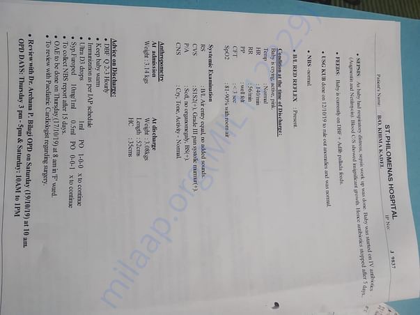 Document