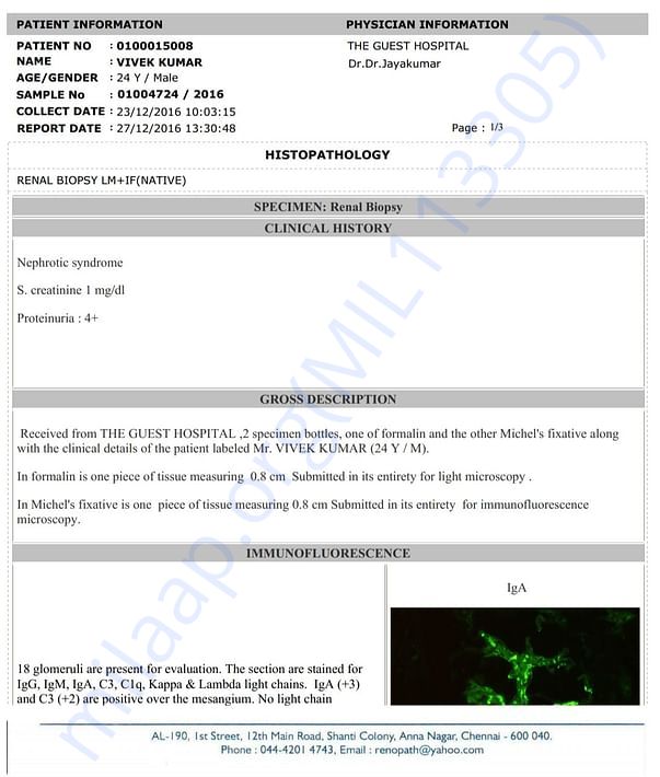 Renal biopsy