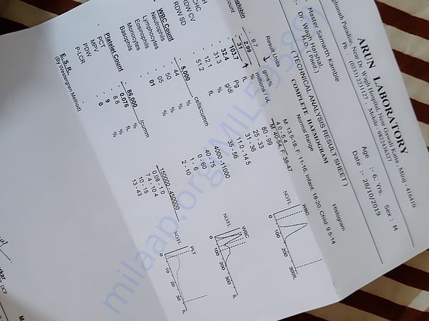 Blood reports
