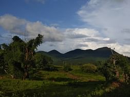 Help me to build a my farm....