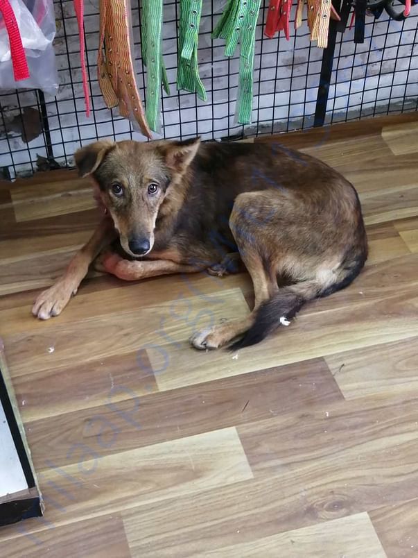 After Rescued