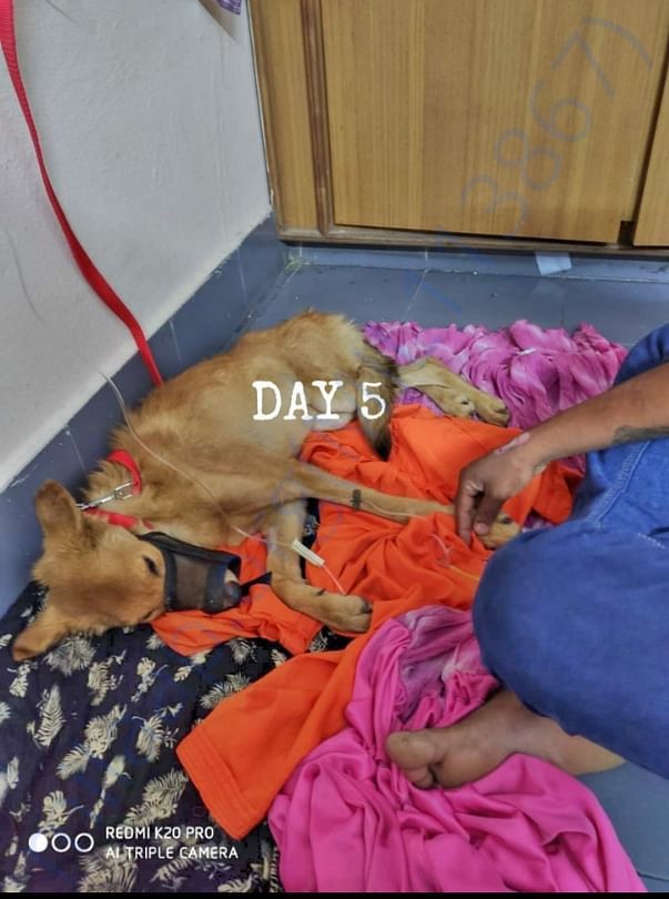 DAY 5