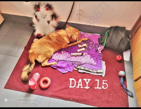 Day 15