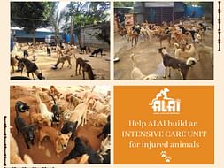 Help ALAI Build An Intensive Care Unit For The Injured Animals