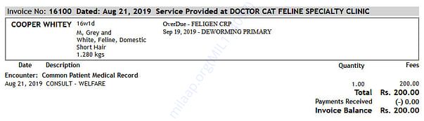 Cooper Cat Checkup